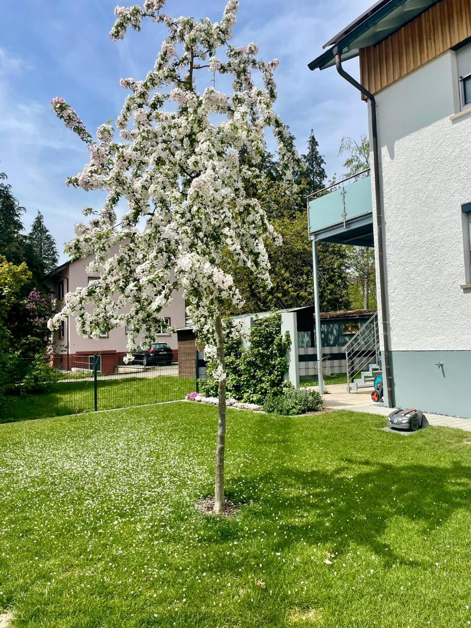 Anitas Ferienwohnung Messkirch Exterior foto